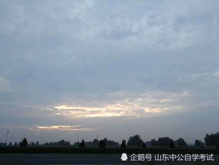 2020山东专升本分数_潍坊医学院2020年山东各专业录取分数线最低501分