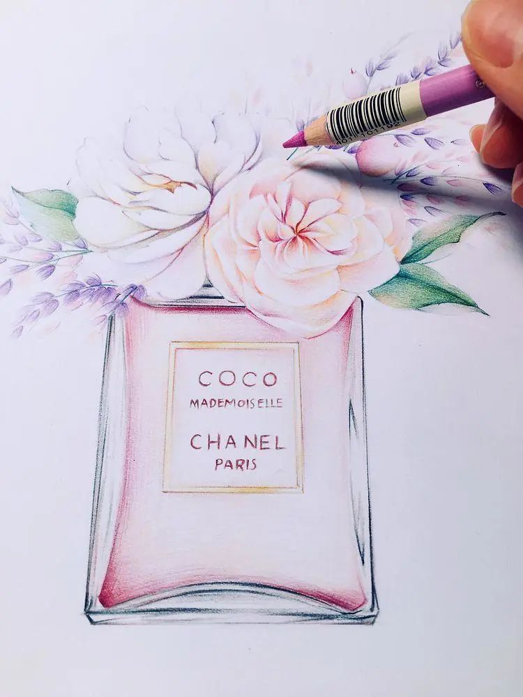 画画如何不歪运用整体概括思维找型香奈儿coco彩铅教程