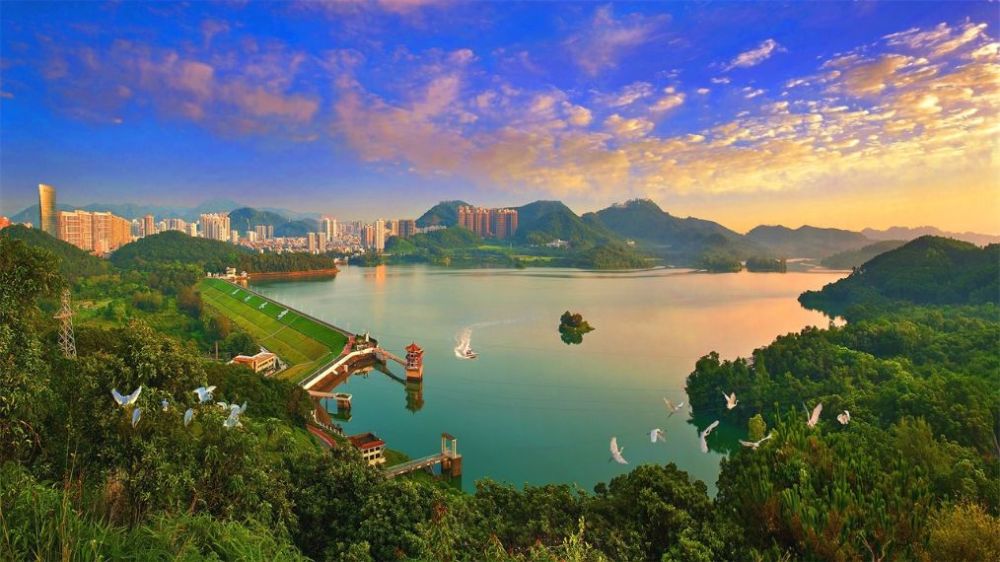 这个南方沿海城市越来越受外国人青睐老外表示真不想离开这里