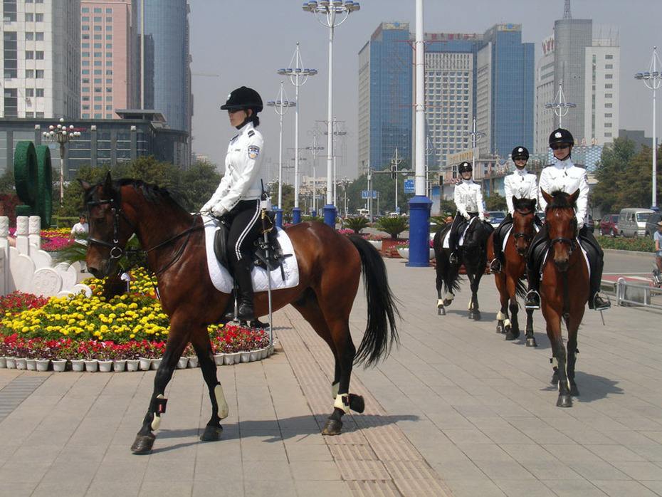 内蒙古为什么gdp高_2019年度内蒙古地级城市人均GDP排名鄂尔多斯市超17万元居第一