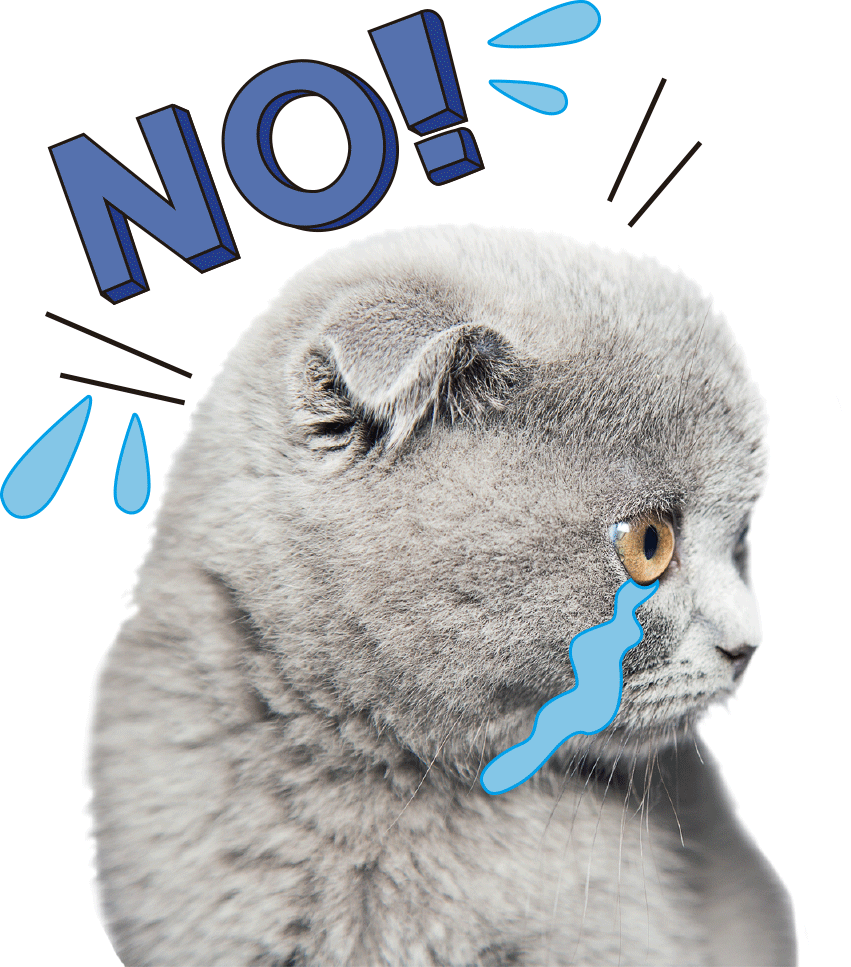 这款药价格直降90 被 爱猫 折磨惨了的24岁小伙终于有救了 腾讯新闻