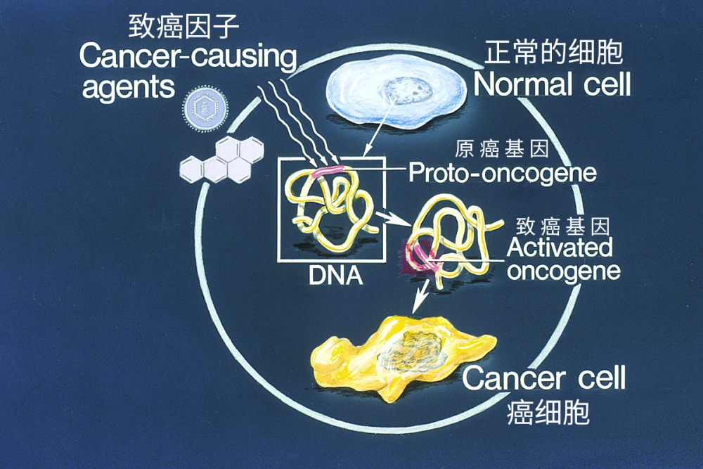 人类实现永生的方式有哪些科学家从理论中找到了其中1种