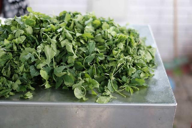 清明节过后 这7种野菜碰到千万别放过 正是最好吃的季节 腾讯新闻