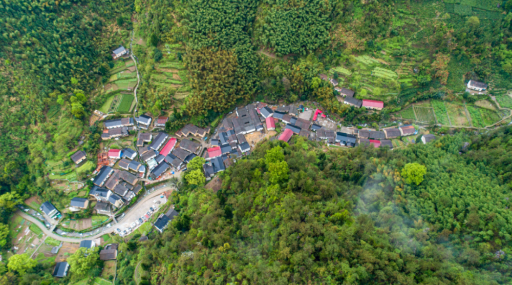 来大洋镇新源村在这里,空气都变得清新满满的负氧离子围绕在身边在