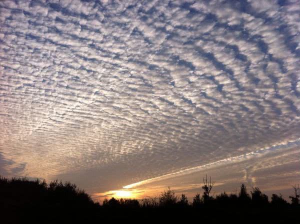 汶川地震发生前曾出现怪异现象科学家至今无法解释