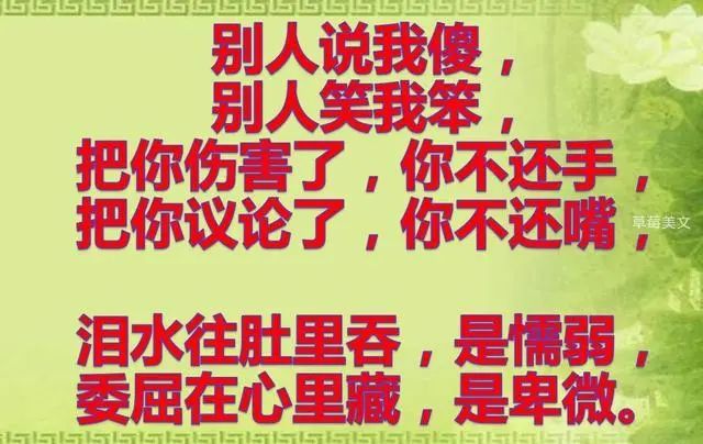 我傻我笨但我问心无愧