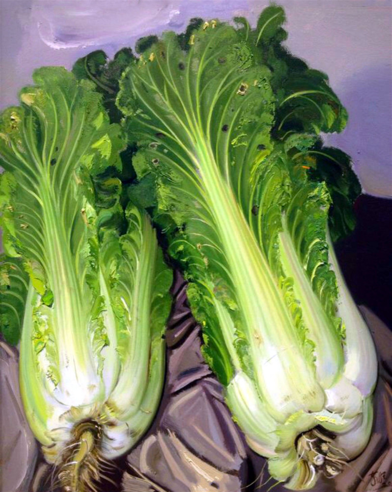 儿童画评价—欣赏忻东旺《大白菜》,写生静物,感受静物之美