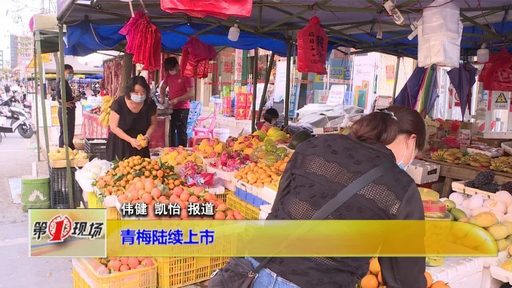 在各市场,超市我们也可以看到青梅已经陆续上市,每市斤价格在5元左右.