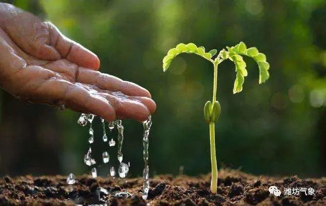 明日晴暖升级,最高气温23