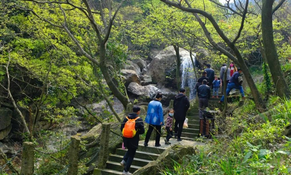 久违啦宁波人朋友圈被刷屏了各大景区是这样的