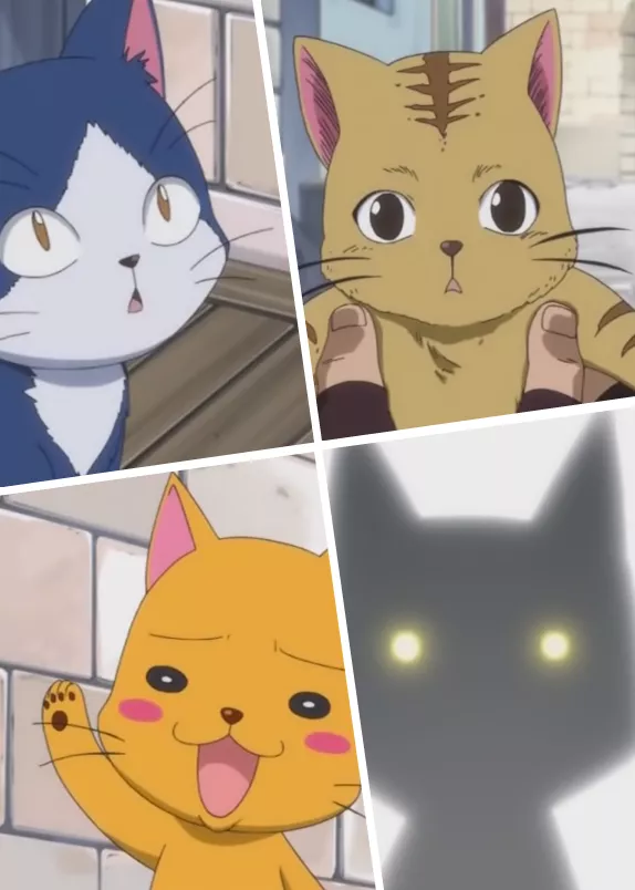 "为什么…同为灭龙魔导士,为什么只有我没有猫啊?