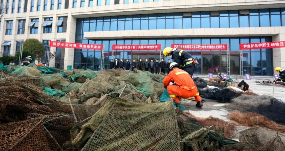 鱼护排行_浙江淳安:以鱼护水以渔富民