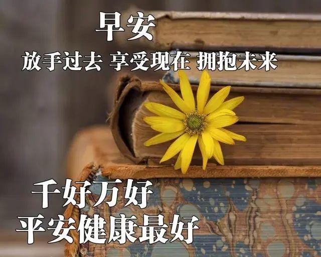 很美的早安正能量心情說說清晨溫暖人心的早安問候祝福語表情