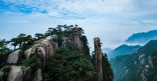 趁柳枝轻摇 想去的地方 即刻启程 腾讯新闻