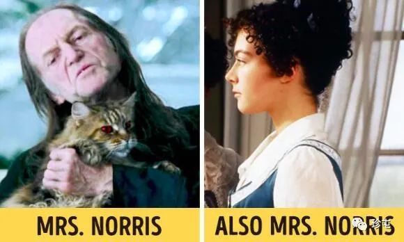 3费尔奇的猫,诺里斯夫人,实际上是他的妻子