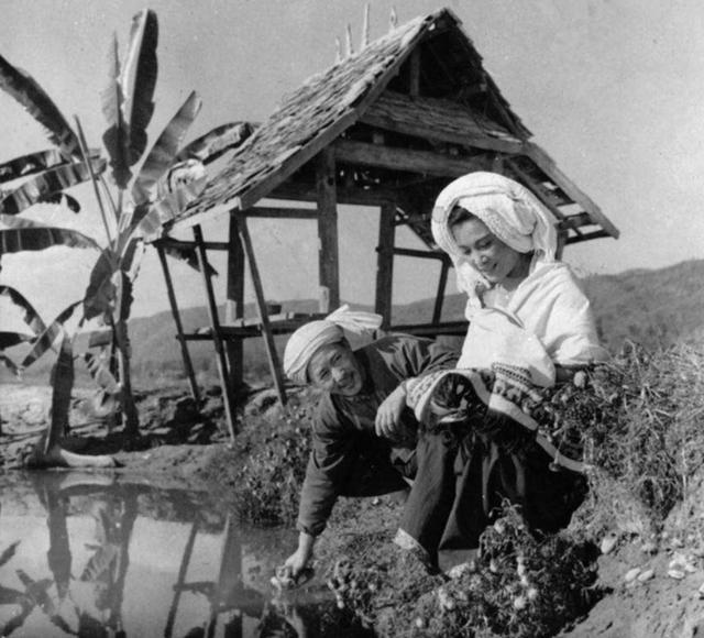 傣族经典老电影图片