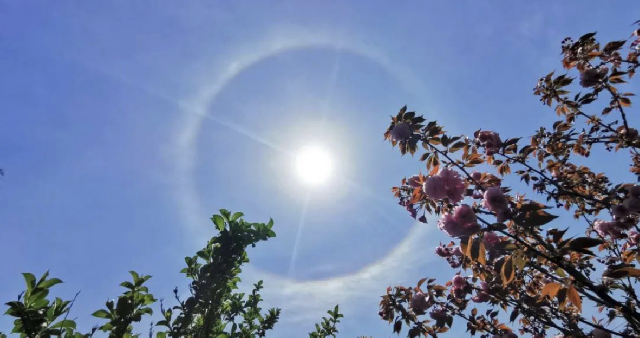 日晕现天顶未来一周降水稀少携带出境自用物品无需提交承诺声明