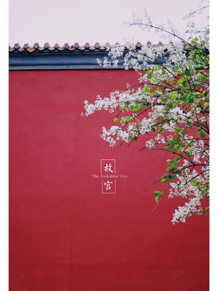 全国近500家景区对所有游客免费！景区名单公布！