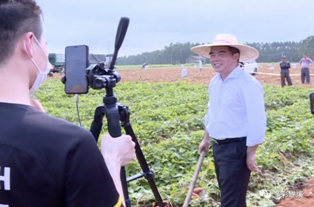 遂溪县委书记余庆创直播带货遂溪红薯助农增收