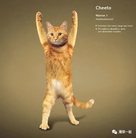 陶虹暴露了自己的健身习惯,戴口罩也要出门跑步,少女感十足!