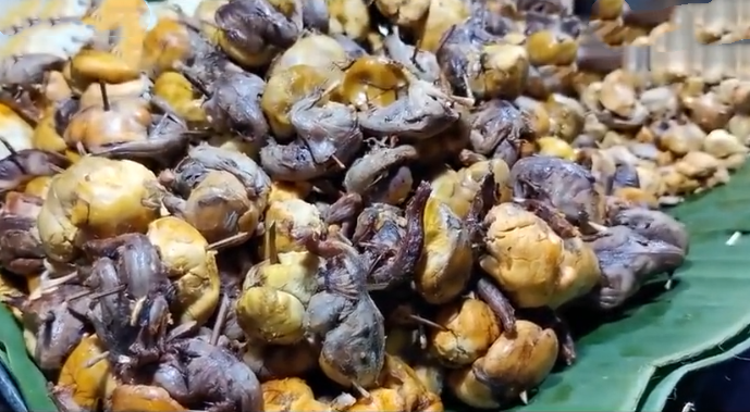 小七真的不敢吃,看着有点没食欲,但是之前小七就听说,这北方的毛蛋,是