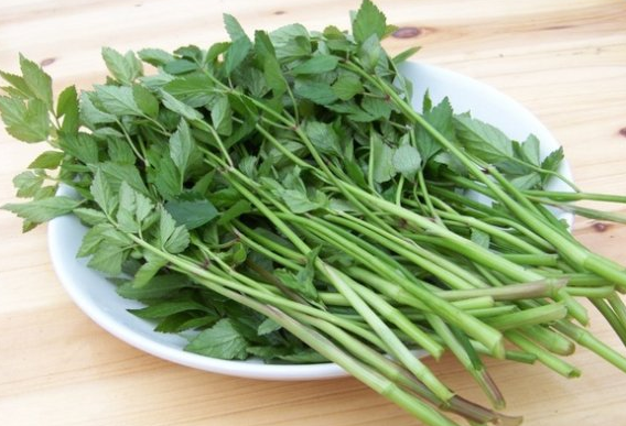 水芹菜中富含多种维生素和无机盐类,其中以钙,磷,铁等含量较高,是泾县