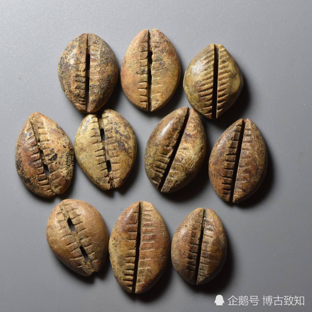 中国古代钱币贝类货币