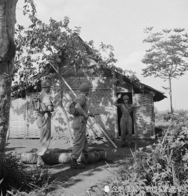 老照片1948年荷蘭士兵在印尼大掃蕩追捕反抗的游擊隊