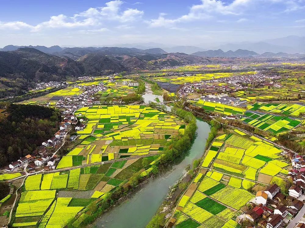 漢中油菜花節(jié)各縣區(qū)觀花線路公布！插圖9