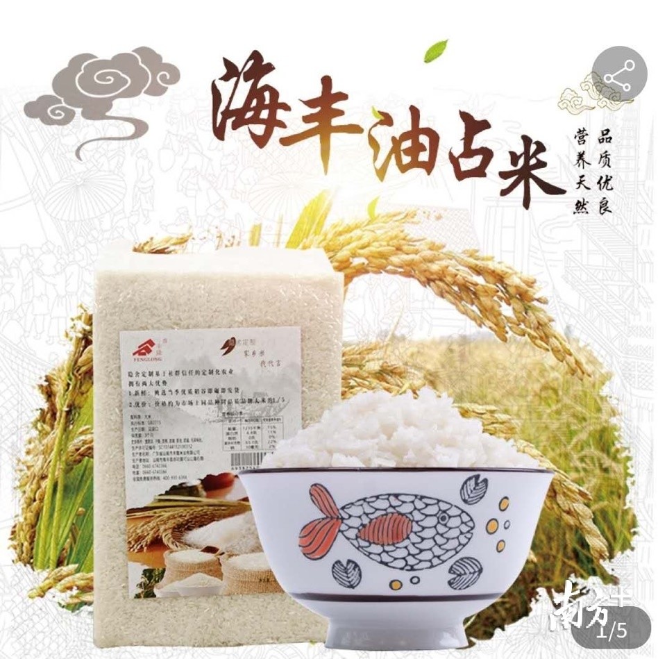 海丰油占米成"爆款"!直播带货1小时卖出6万斤