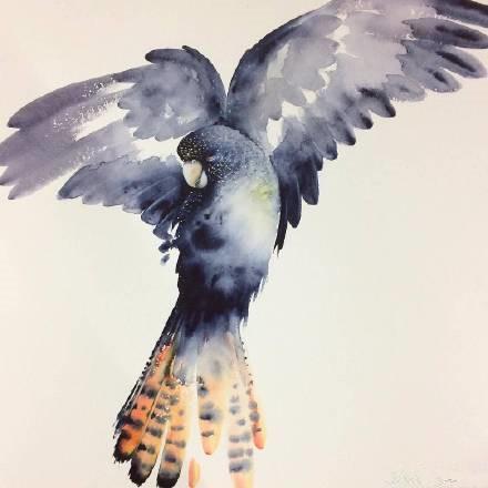 风流倜傥的雄鹰 娇小俏皮的小鸟 在艺术家笔下鲜活呈现 腾讯新闻