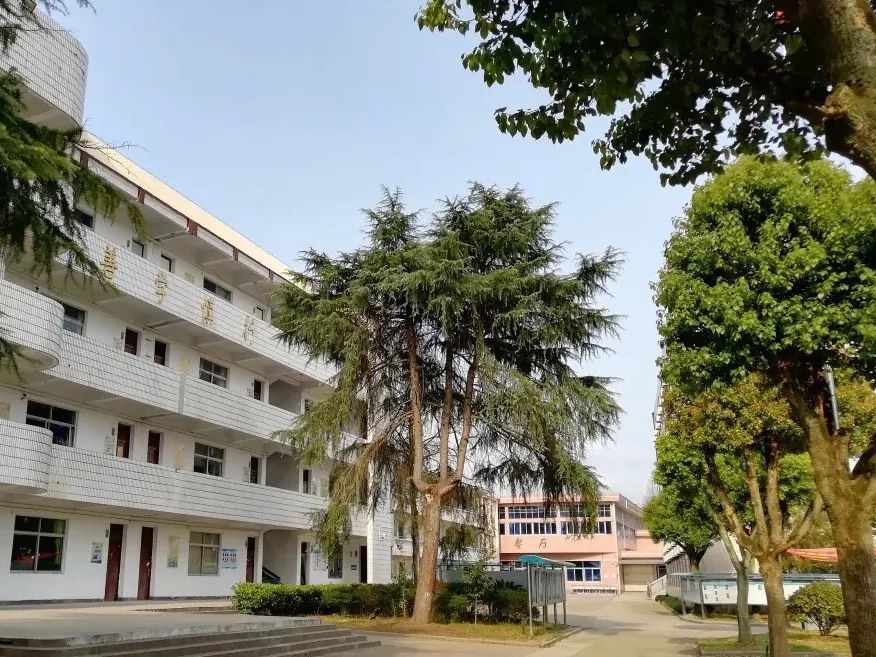 诸暨市浬浦中学"今日出门春已半,樱花如霰晓莺啼"嵊州市东圃幼儿园