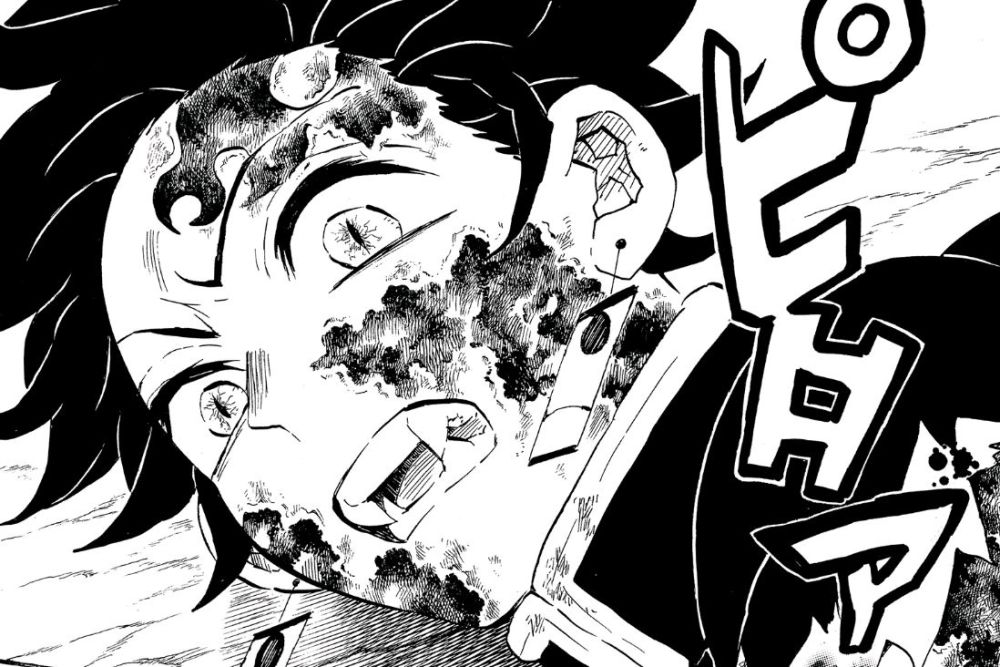 鬼灭之刃漫画:炭治郎和祢豆子身份互换,下一个是要轮到师兄?