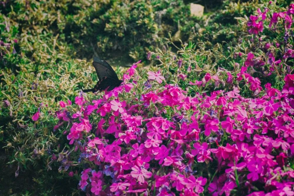 24 黄石天气又要暴走 腾讯新闻