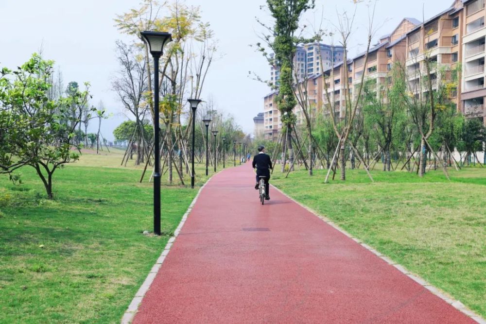 龙腾湖湿地公园夹江人的桃花源