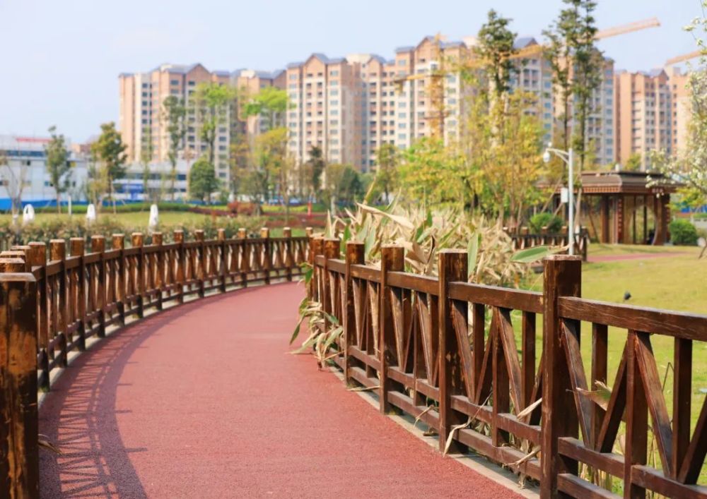 龙腾湖湿地公园夹江人的桃花源