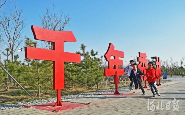 雄安新区千年秀林春意闹