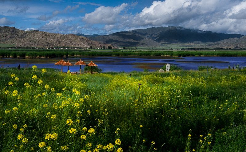 这个四月,想去可可苏里走一走!