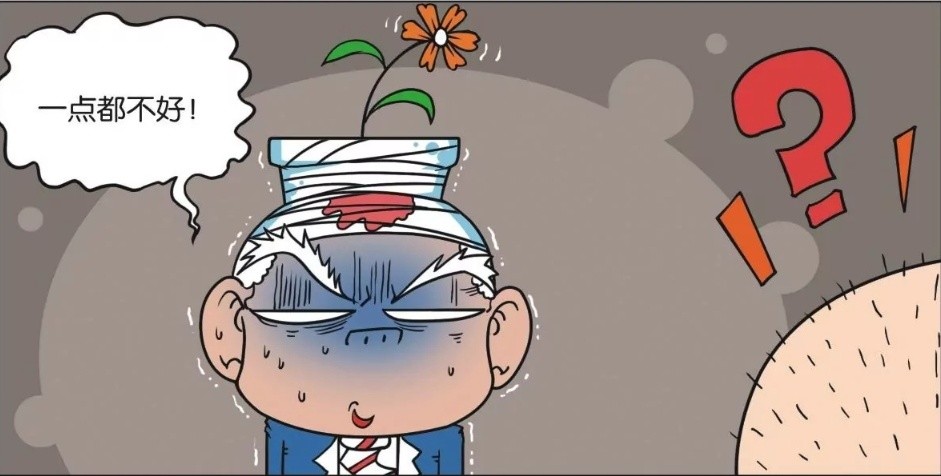 爆笑一刻:刘姥姥的头被花盆砸了,呆头就连花盆一块,帮刘姥姥包扎起来