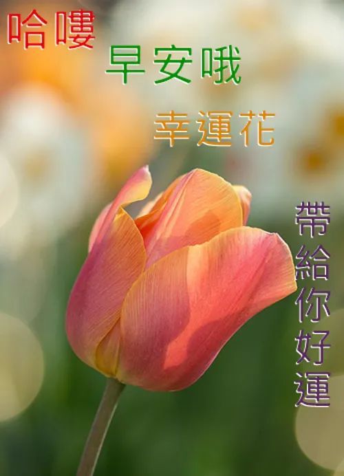 9月日早安问候每日一祝 每日