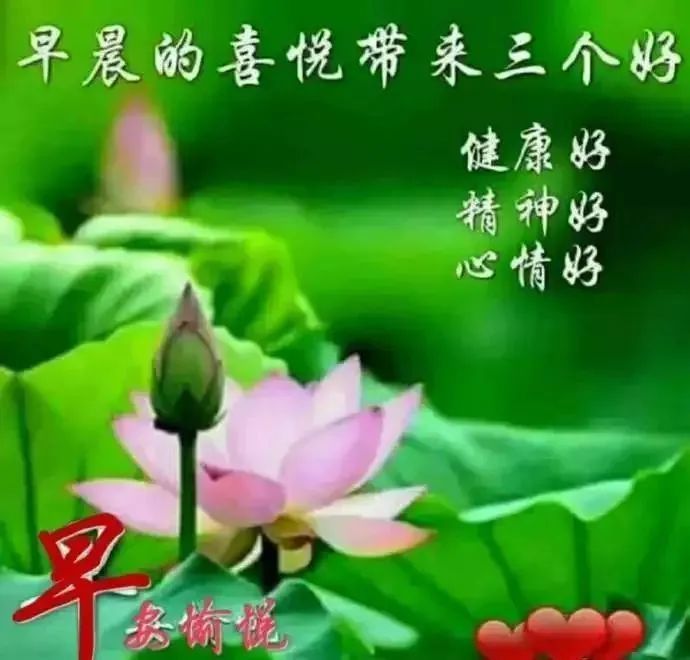 五一劳动节早安祝福句子2020最新最全的五一祝福图片表情包_腾讯新闻