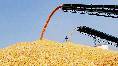 "大国粮仓"安大国