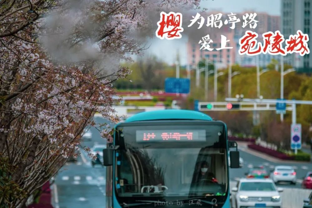 樱 为昭亭路 爱上宛陵城 腾讯新闻