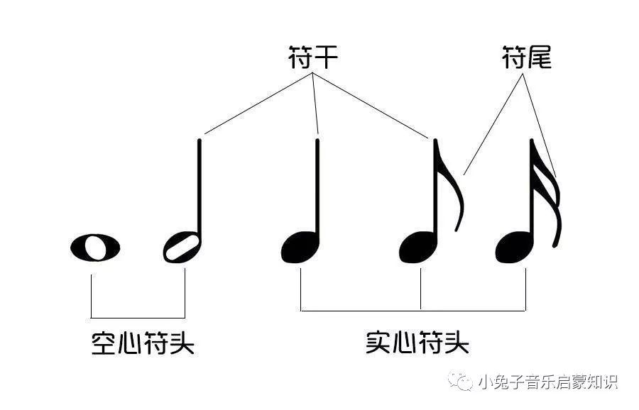 三分钟乐理 入门篇 音符 腾讯新闻