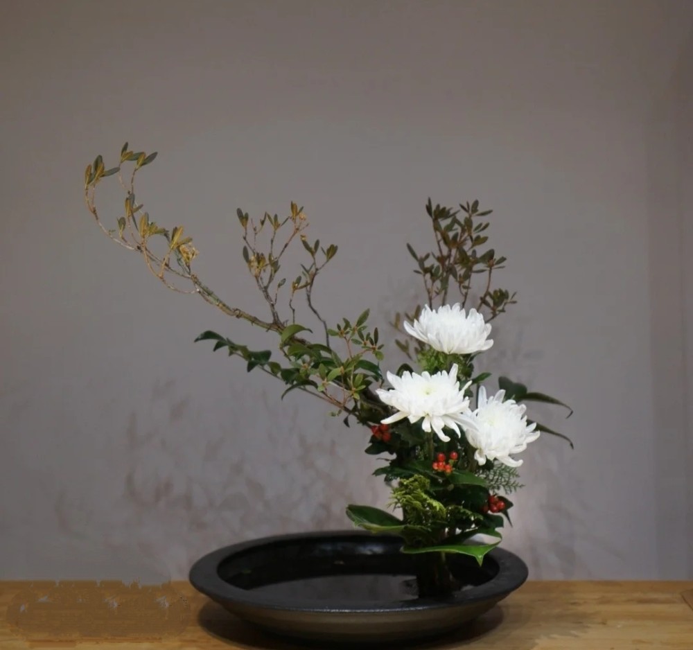 零基础插花入门知识必须掌握