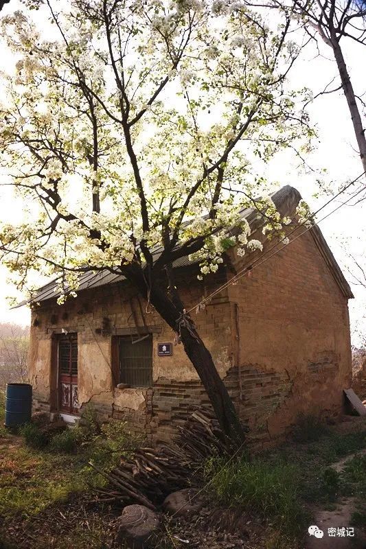 溱洧地理 窑沟有座龙山寨 探秘新密古寨堡 腾讯新闻