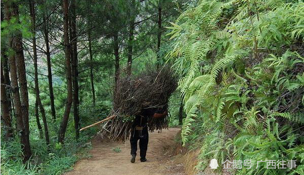 樵夫进山砍柴坐看两个老翁下棋回到村庄时已物是人非