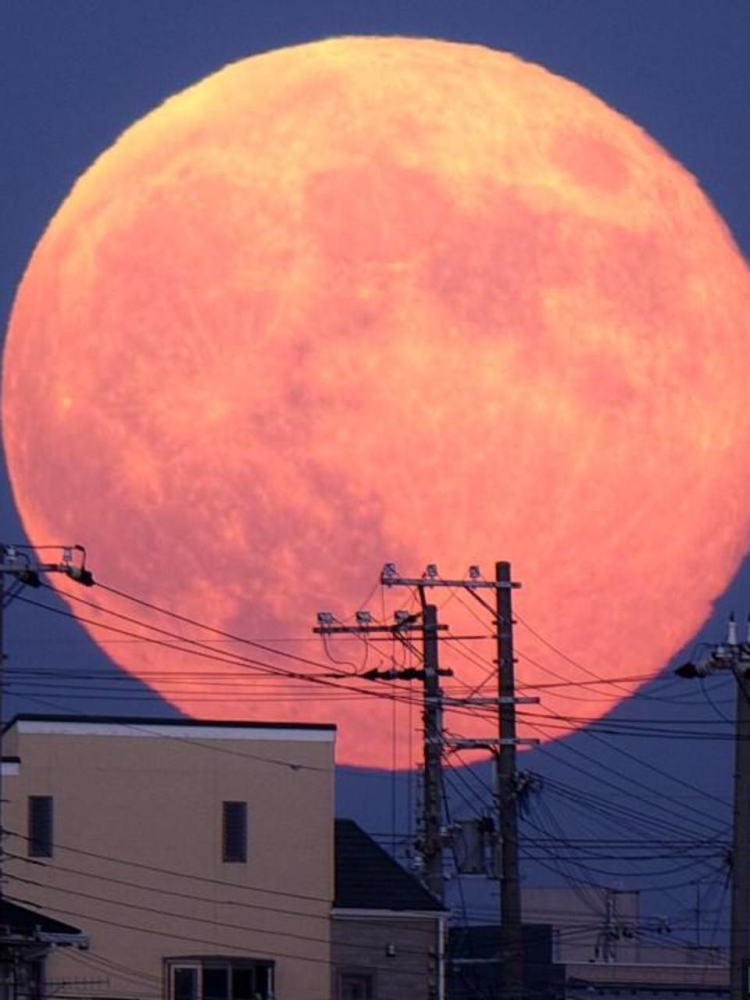 请定好闹钟超级粉红月亮即将来临我们如何观赏
