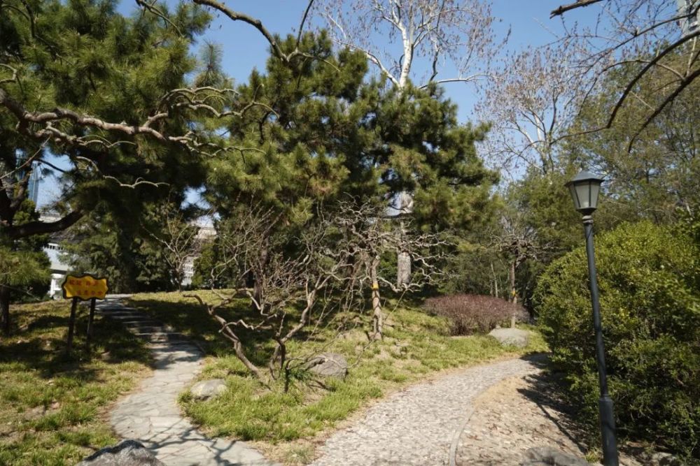 京城闹市寻幽北中轴四园之双秀公园