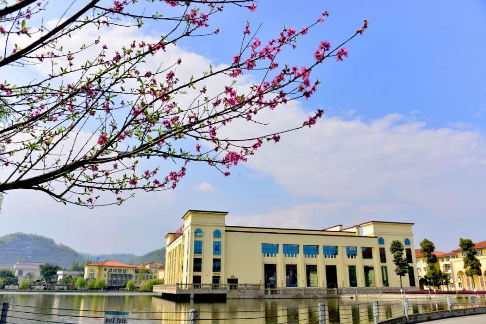 川外成都学院的春天独白:想见你,我的朋友